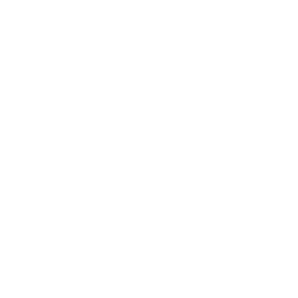 logo find capital blanco